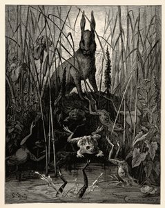 La lepre e le rane da Gustave Dore